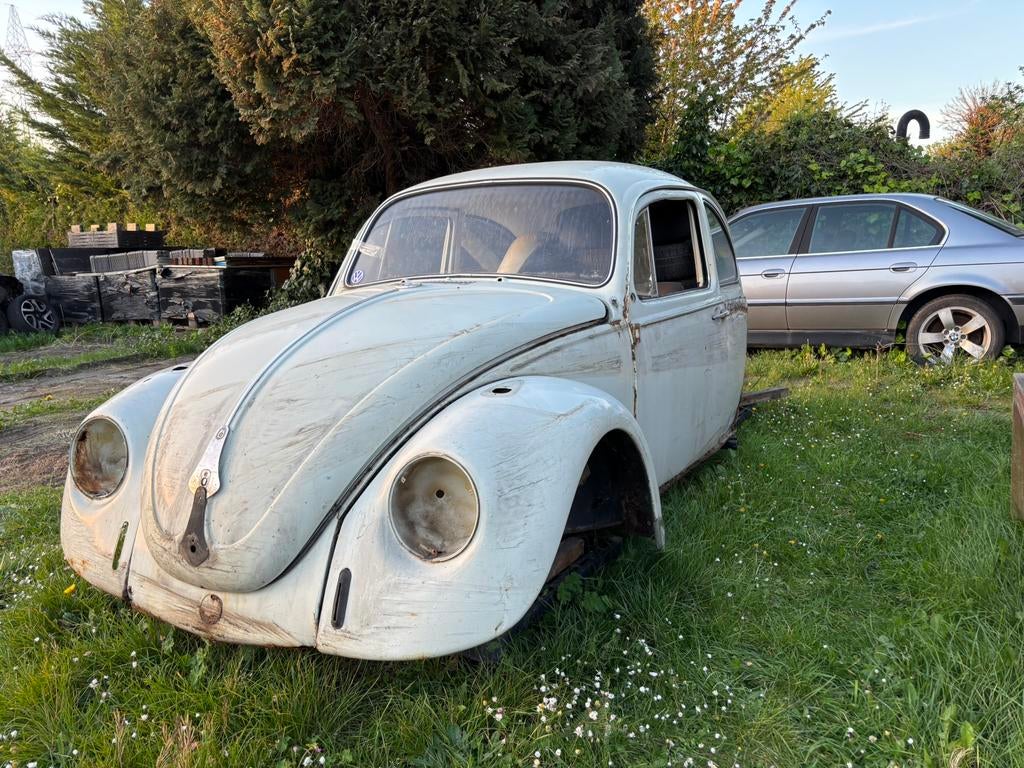 Épave coccinelle, Autos, Volkswagen, Particulier, Coccinelle, Enlèvement