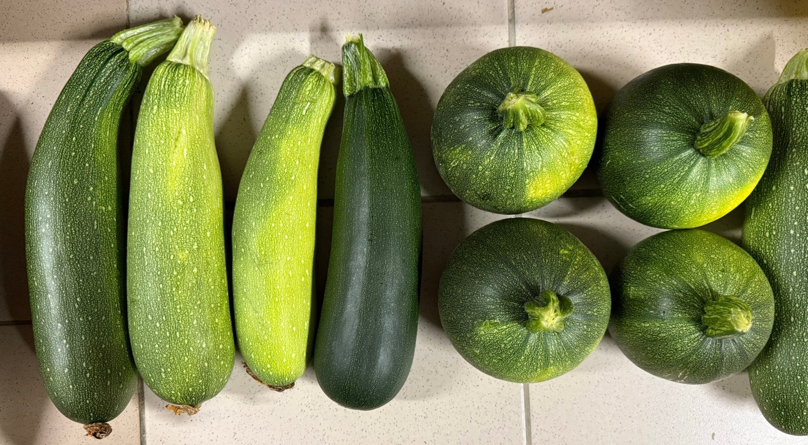 Courgette, Enlèvement