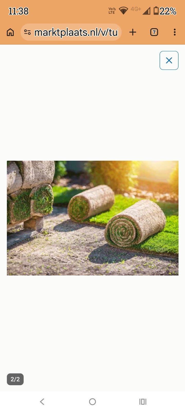 grasmatten gezocht!, Enlèvement