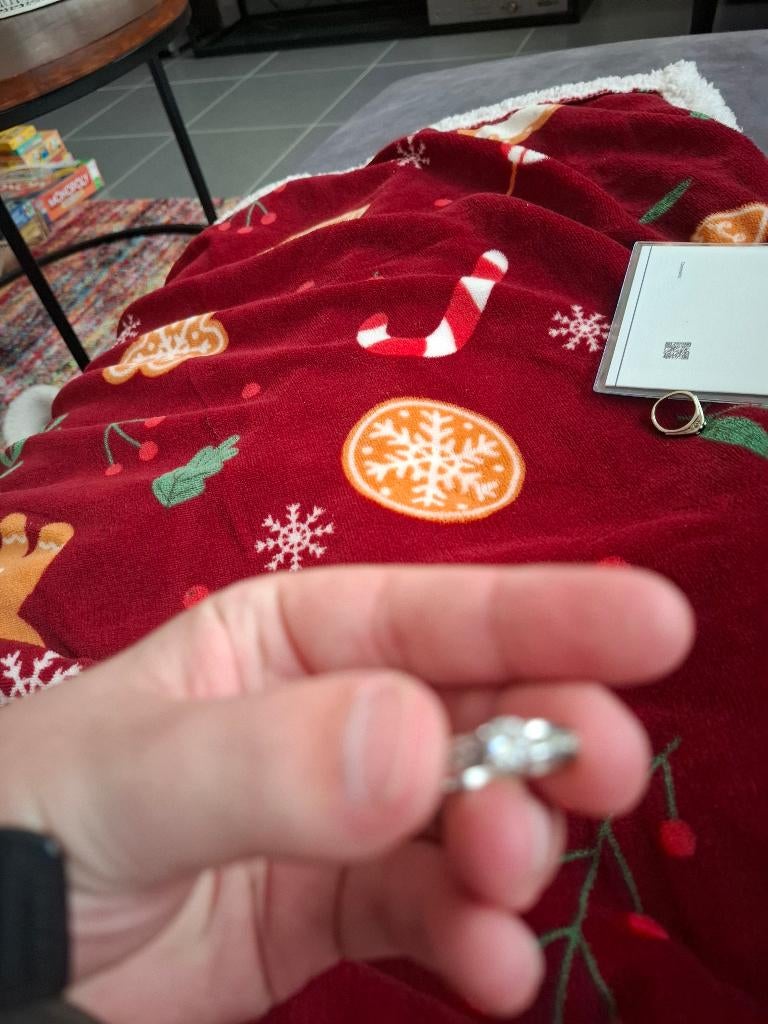 Ring, Bijoux, Sacs & Beauté, Bagues, Neuf, Fer ou Acier, Enlèvement, Argent