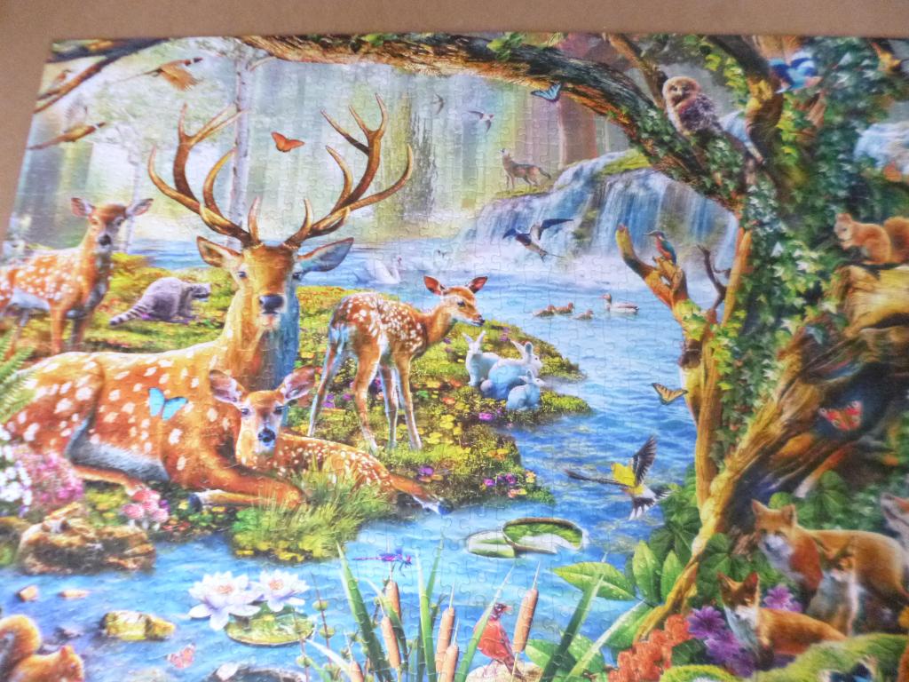 Puzzel 1000 stukjes, Hobby en Vrije tijd, Ophalen of Verzenden