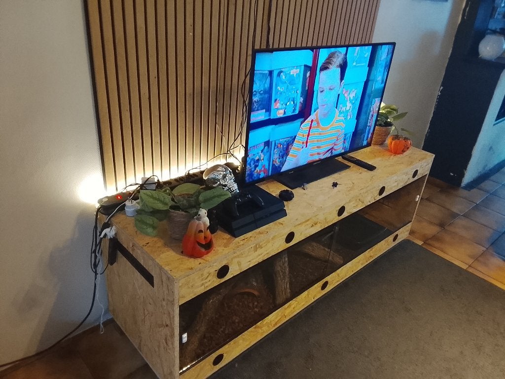 Terarium osb, Animaux & Accessoires, Enlèvement, Comme neuf, Terrarium ou Paludarium