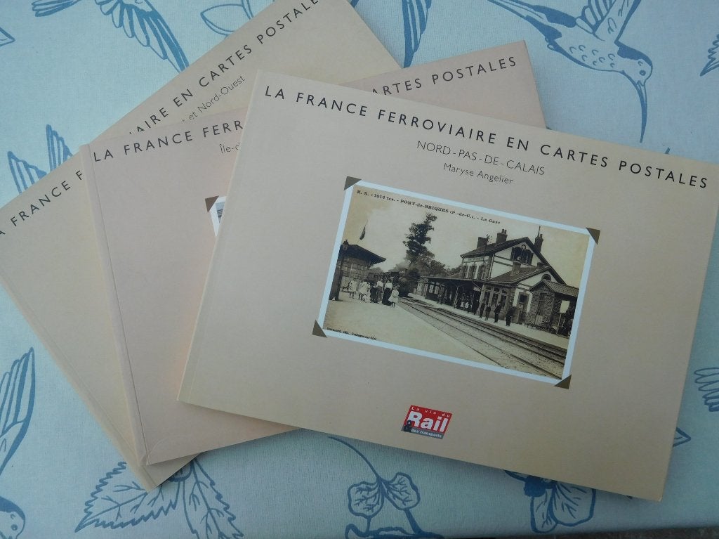 La France Ferroviaire en cartes postales, Livres, Histoire mondiale, Enlèvement ou Envoi