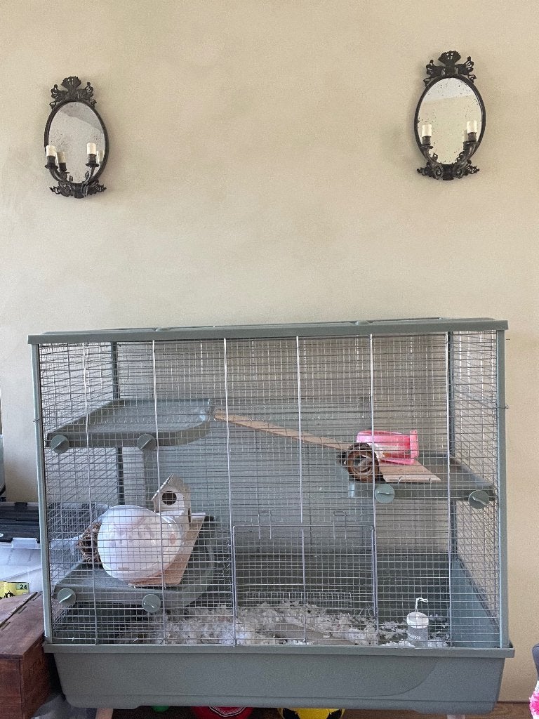 Binnenhok klein dier, 90 cm ou plus, Niche, Lapin, Comme neuf