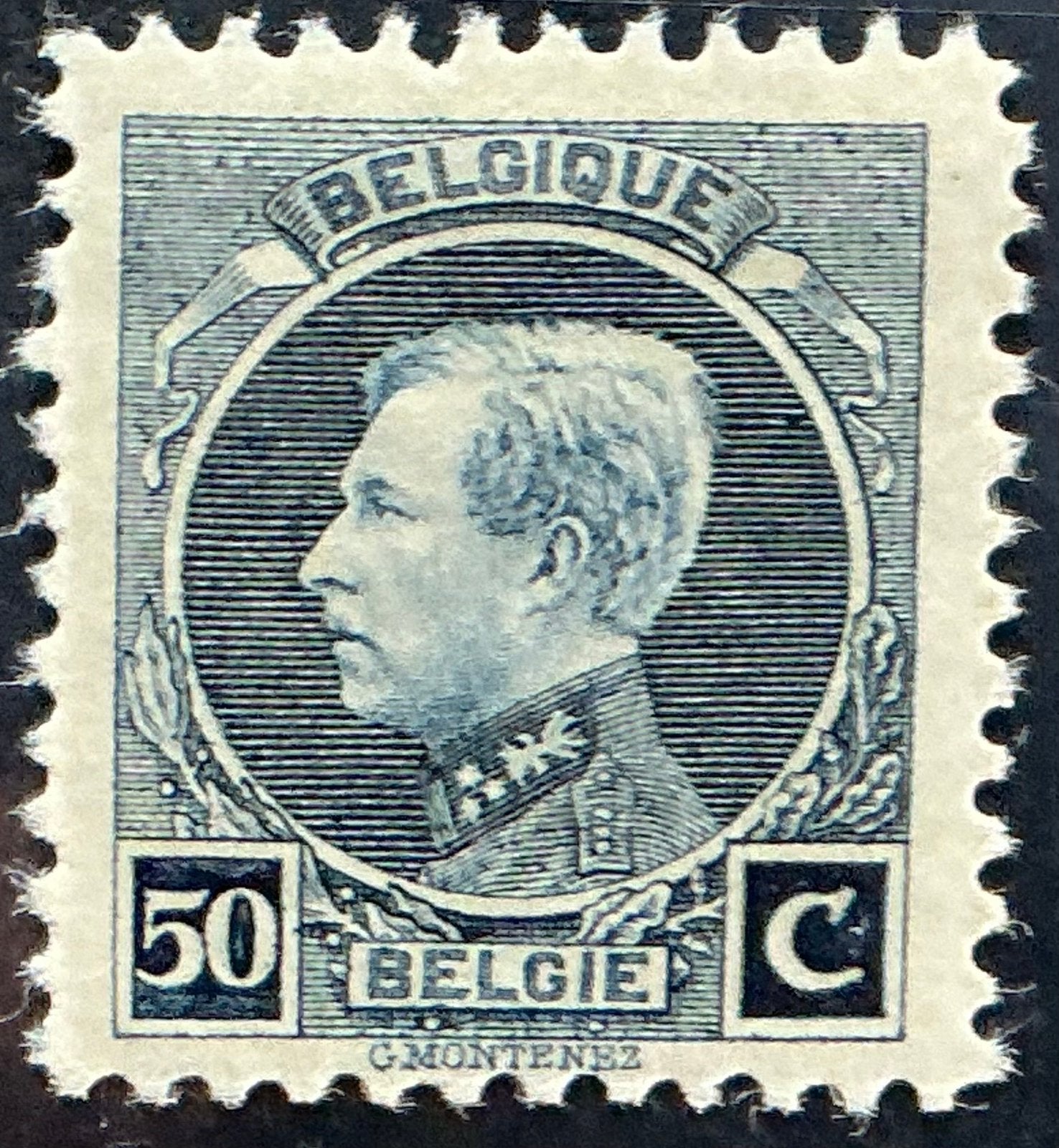LOT 857. COB: 211B. ALBERT I. MONTENEZ. MNH. **, Neuf, Enlèvement ou Envoi, Non oblitéré, Gomme originale