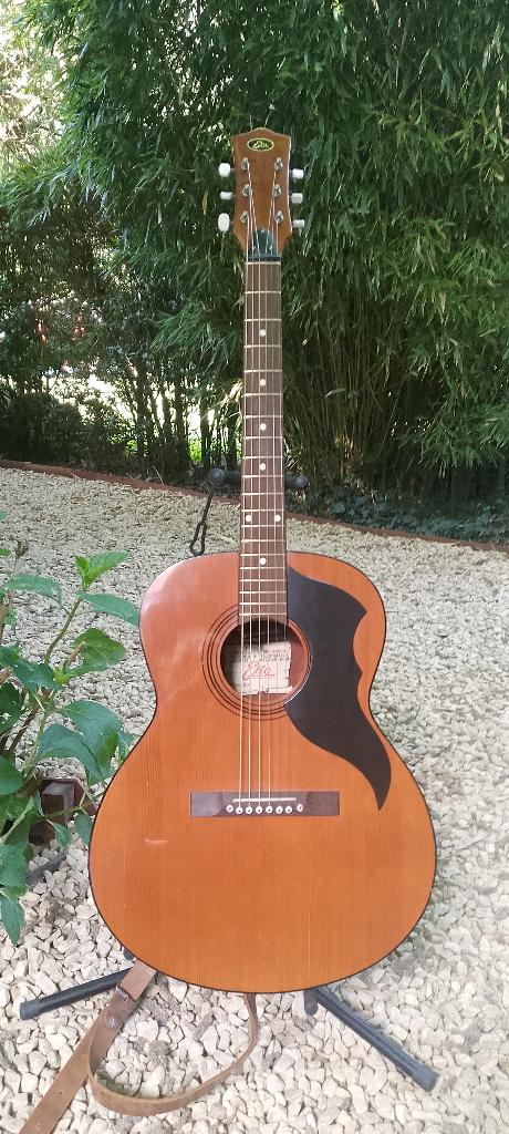 EKO – Folk électrifiée, circa 1970, Enlèvement, Utilisé, Guitare Western ou Guitare Folk