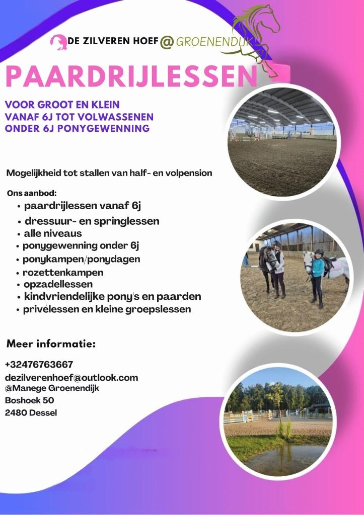 Paardrijlessen in Dessel, Sports & Fitness, Sports & Fitness Autre, Enlèvement, Neuf