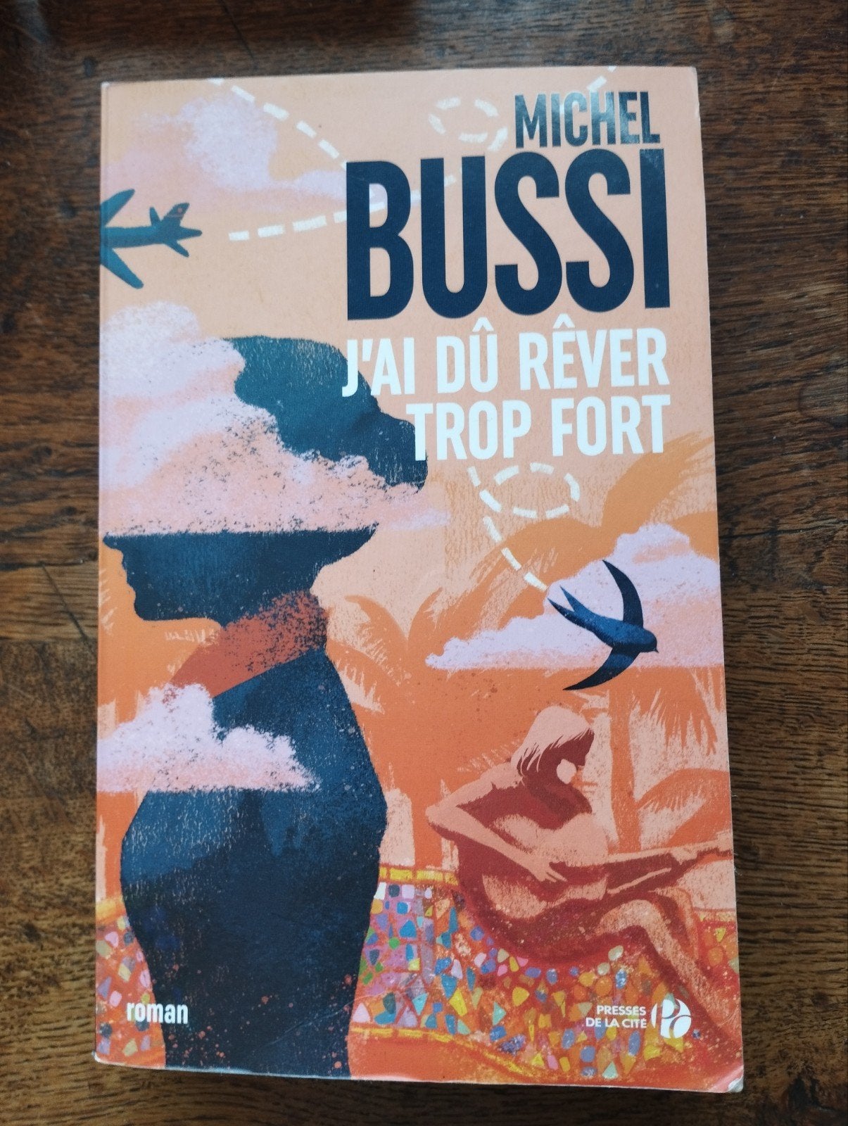 Michel Bussi J'ai dû rêver trop fort, Livres, Enlèvement ou Envoi