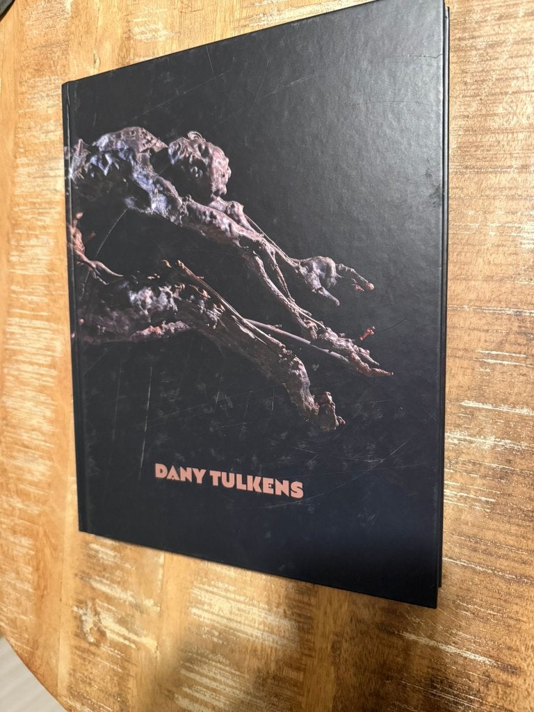 Dany Tulkens 2019, Boeken, Kunst en Cultuur | Beeldend, Zo goed als nieuw, Beeldhouwkunst, Ophalen of Verzenden