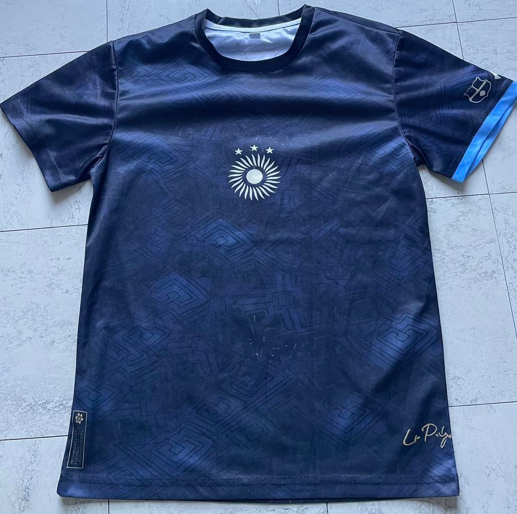 Maillot Messi Argentine, Football, Enlèvement ou Envoi, Comme neuf, Bleu