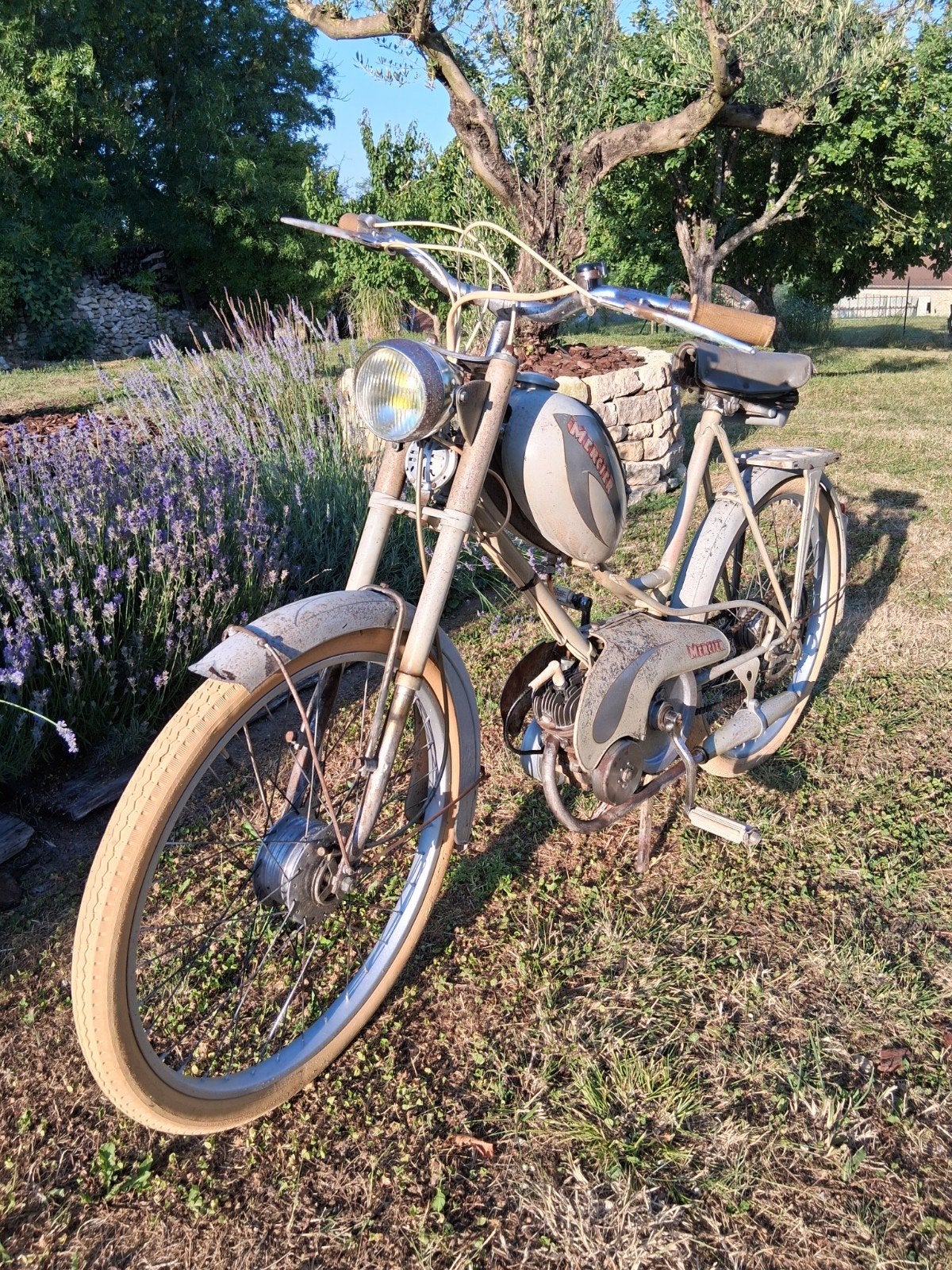 Cyclomoteur Mercier
