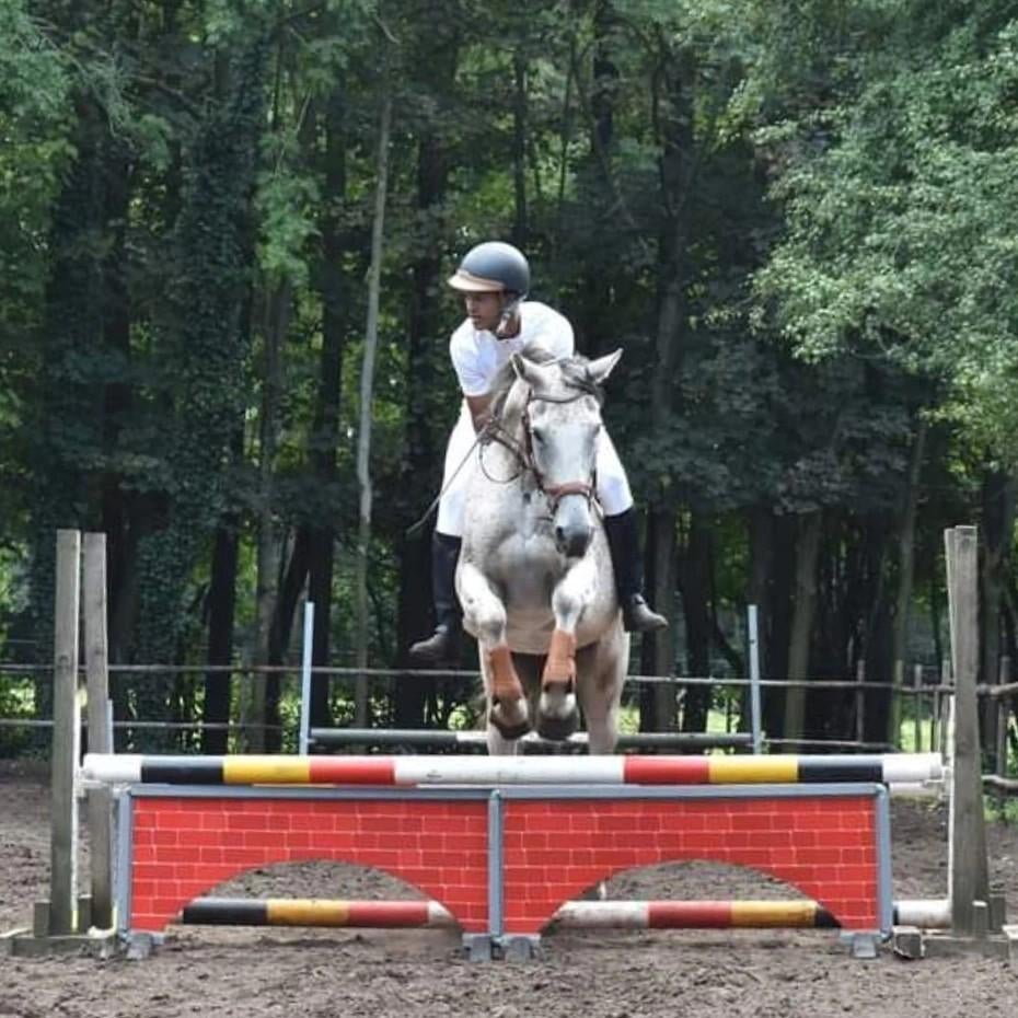 21jarige ruiter zoekt halve stal, Ne s'applique pas