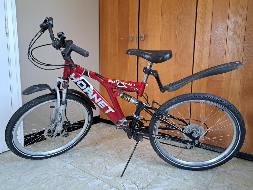 Kinderfiets mountainbike Alpina sport, Ophalen, Gebruikt, 20 inch of meer, Alpina
