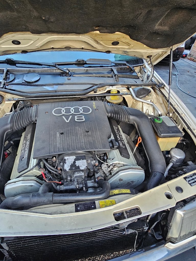 audi v8, foto 7