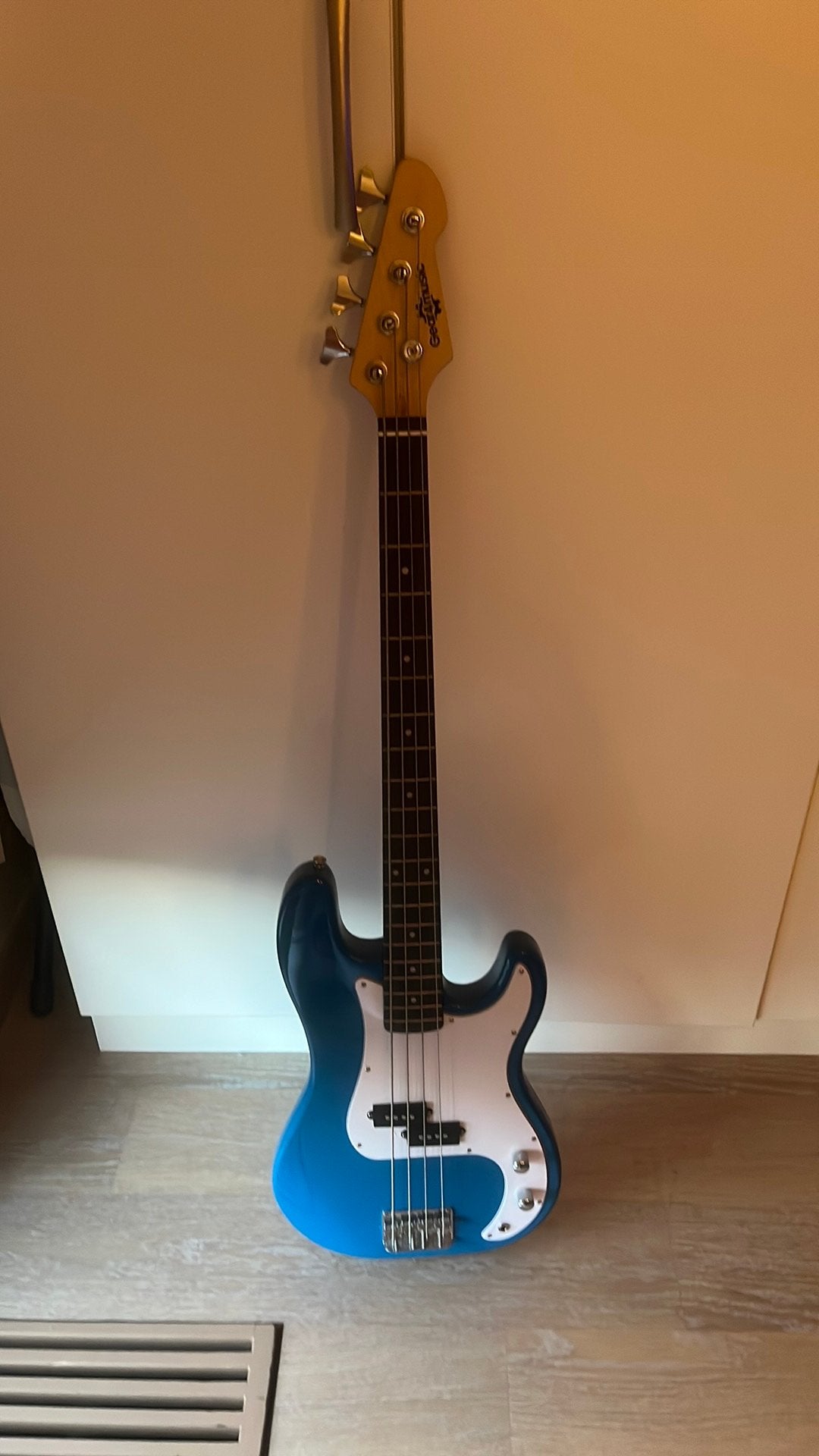 Bass gitaar, Muziek en Instrumenten, Snaarinstrumenten | Gitaren | Bas, Ophalen, Zo goed als nieuw