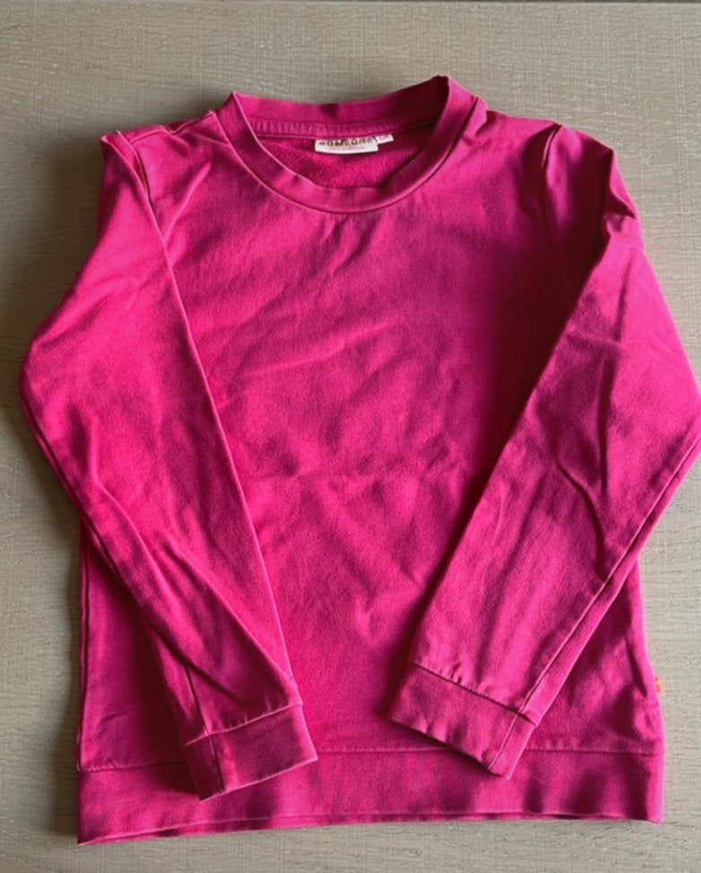 Roze truitje awesome maat 134, Kinderen en Baby's, Kinderkleding | Maat 134, Ophalen of Verzenden, Zo goed als nieuw