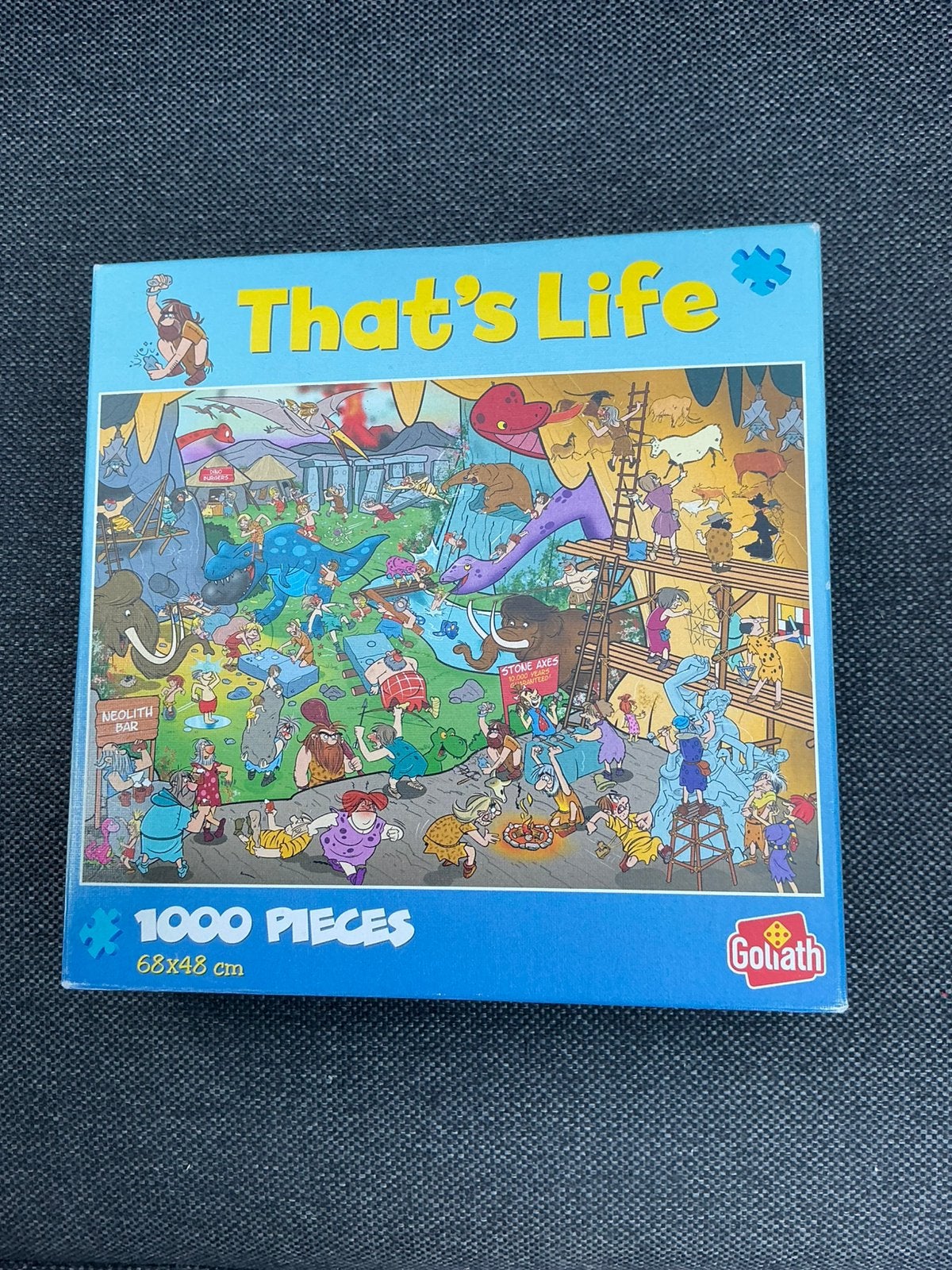 Puzzels, Hobby en Vrije tijd, Ophalen, Zo goed als nieuw