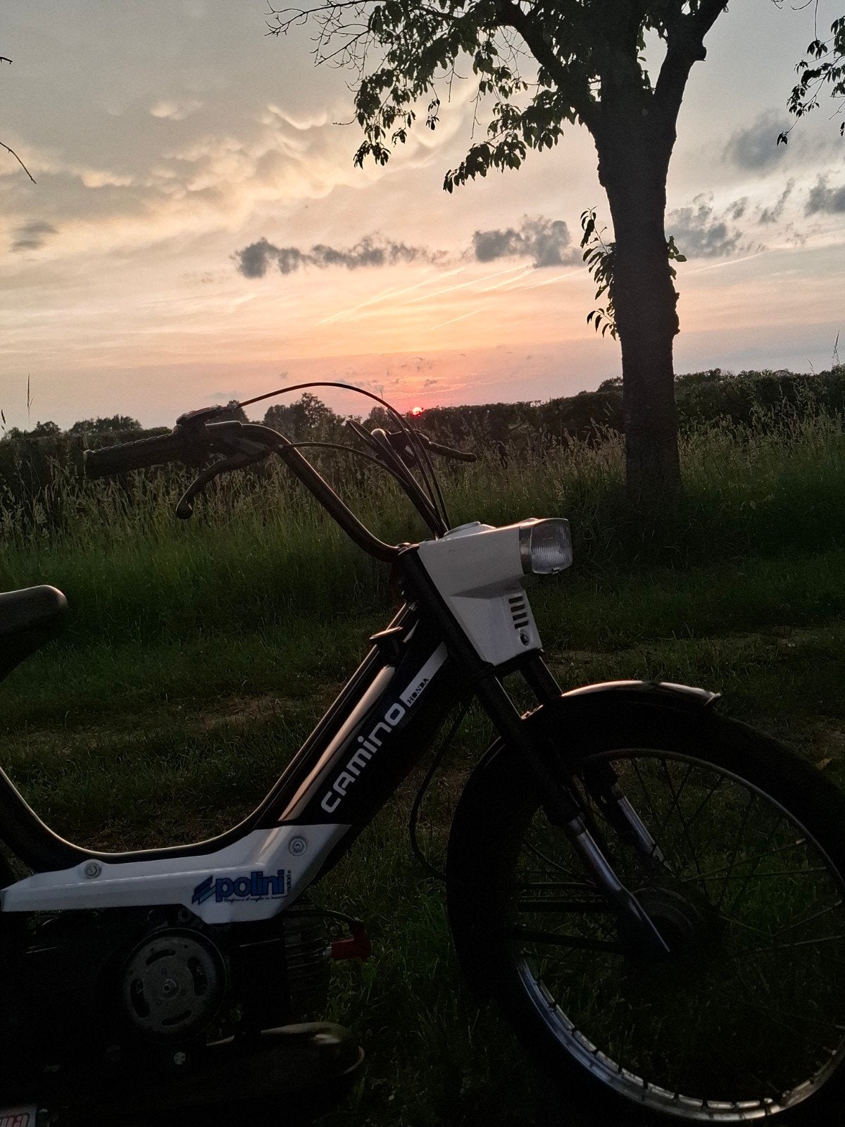 Honda camino a klasse mono, Vélos & Vélomoteurs, Cyclomoteurs | Honda, Comme neuf, Enlèvement, Classe A (25 km/h)