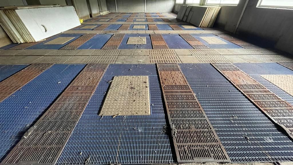 Nooyen Kraamstalroosters + verwarmingsplaten, Zakelijke goederen, Ophalen
