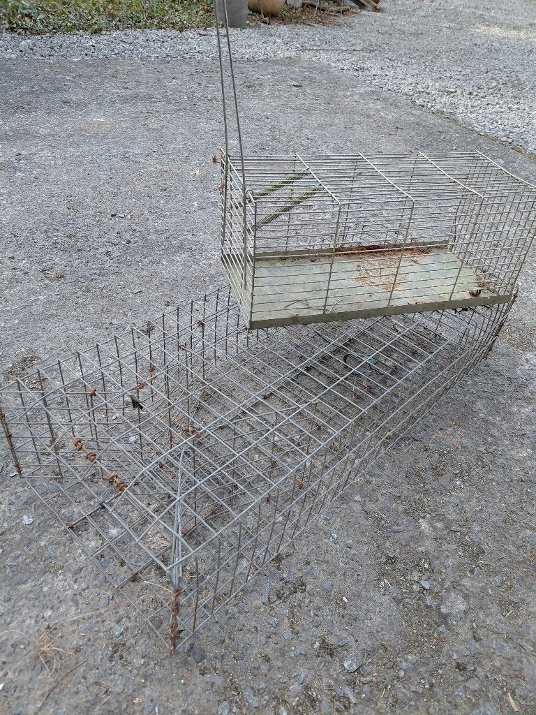 piège a rat, Enlèvement, Utilisé