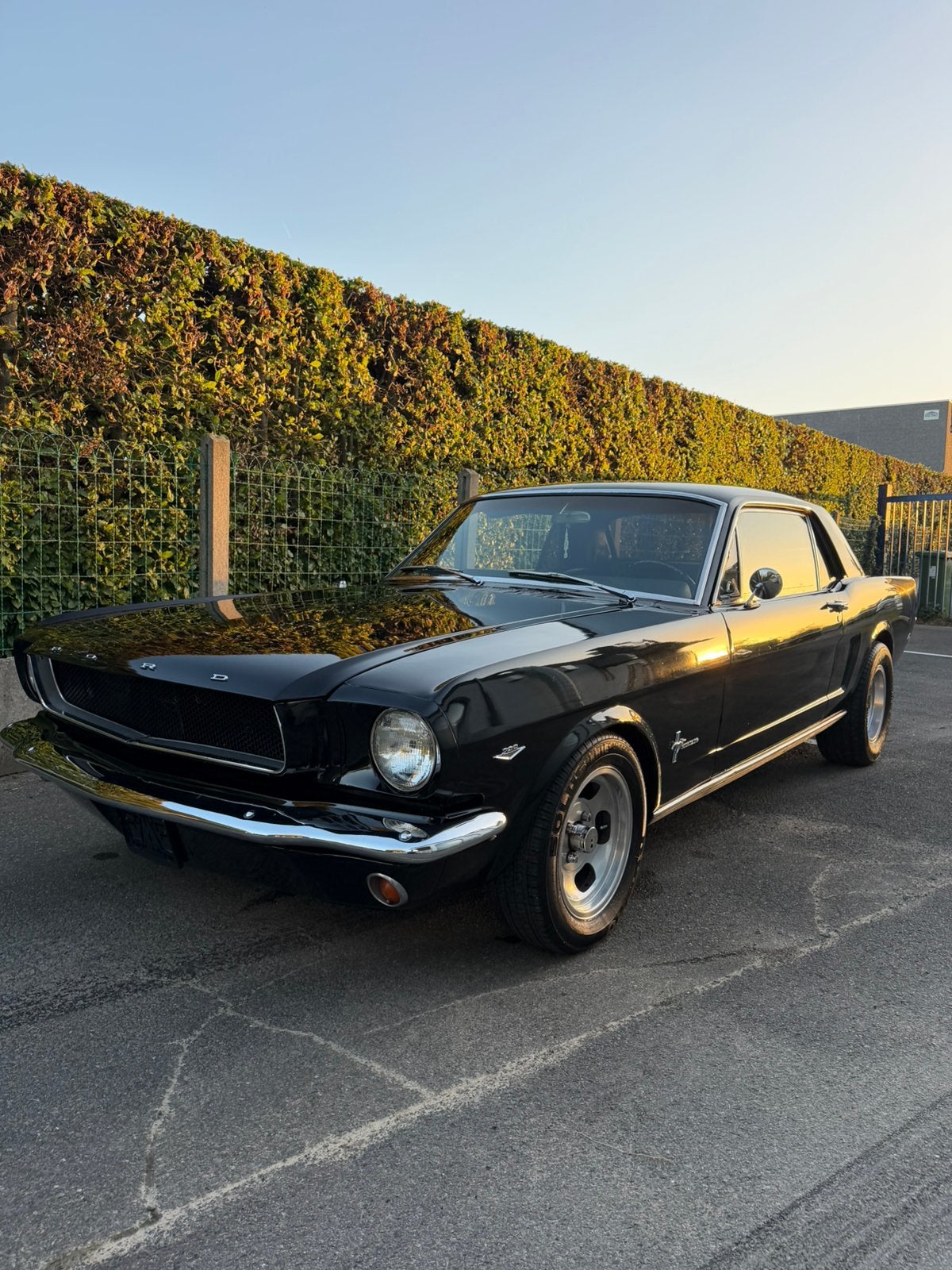 Ford mustang 1966 v8, Achat, Boîte manuelle, Particulier, Mustang