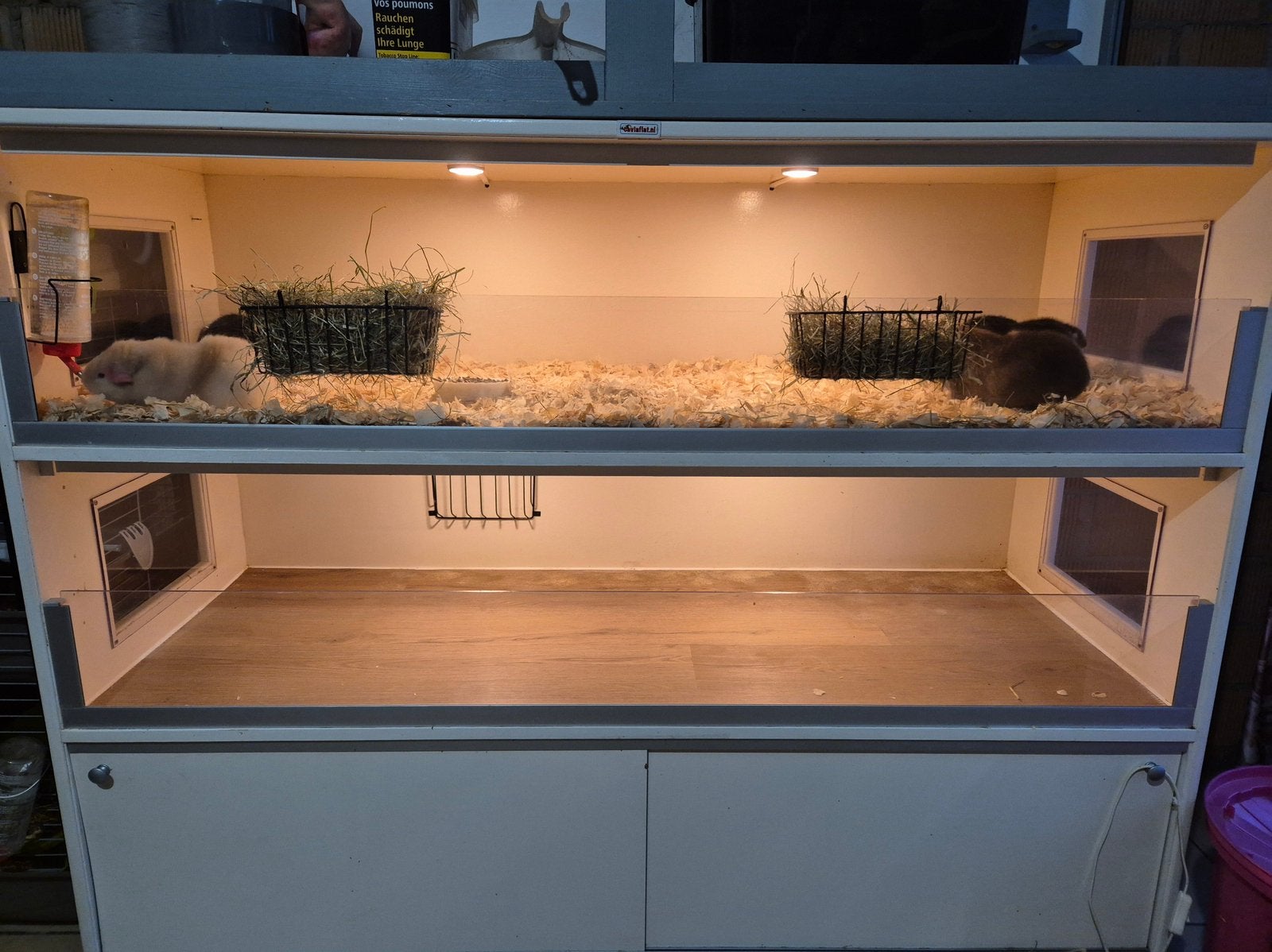 Super grote mooie cavia flat, Dieren en Toebehoren, Knaagdieren en Konijnen | Hokken en Kooien, Ophalen, 90 cm of meer, Hok, 110 cm of meer
