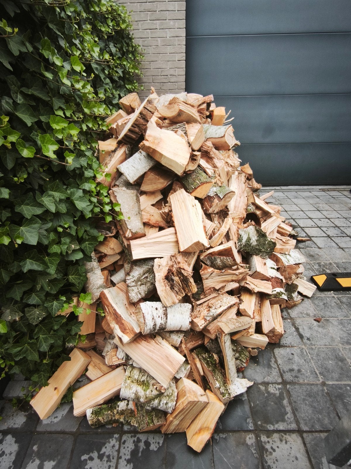 droog brandhout, gemengd soorten +-6m3, 3 tot 6 m³, Ophalen, Overige houtsoorten, Blokken