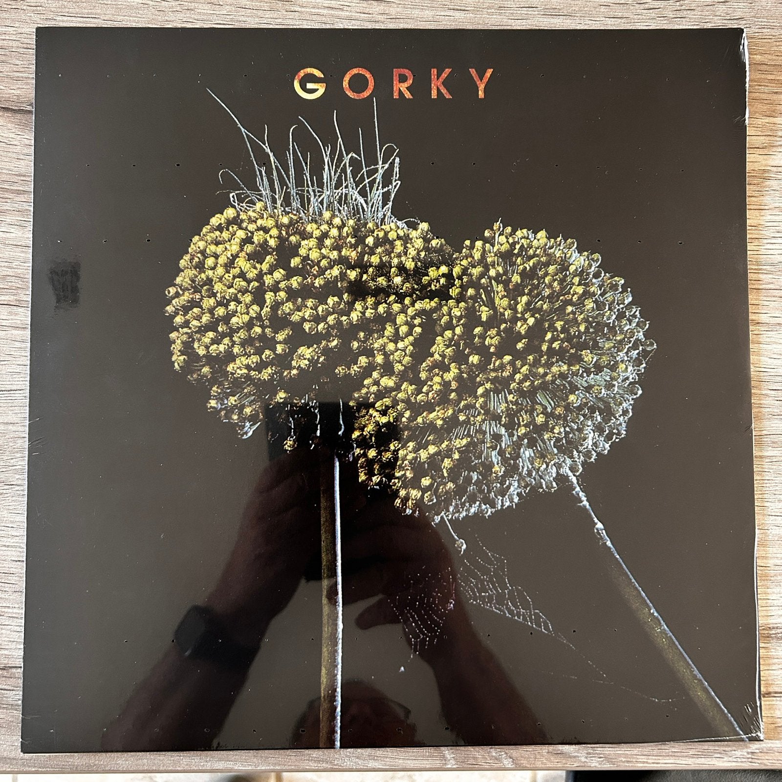 Gorky - collor vinyl nieuw 45€, Cd's en Dvd's, LP, Ophalen of Verzenden, 12 inch, Nieuw in verpakking