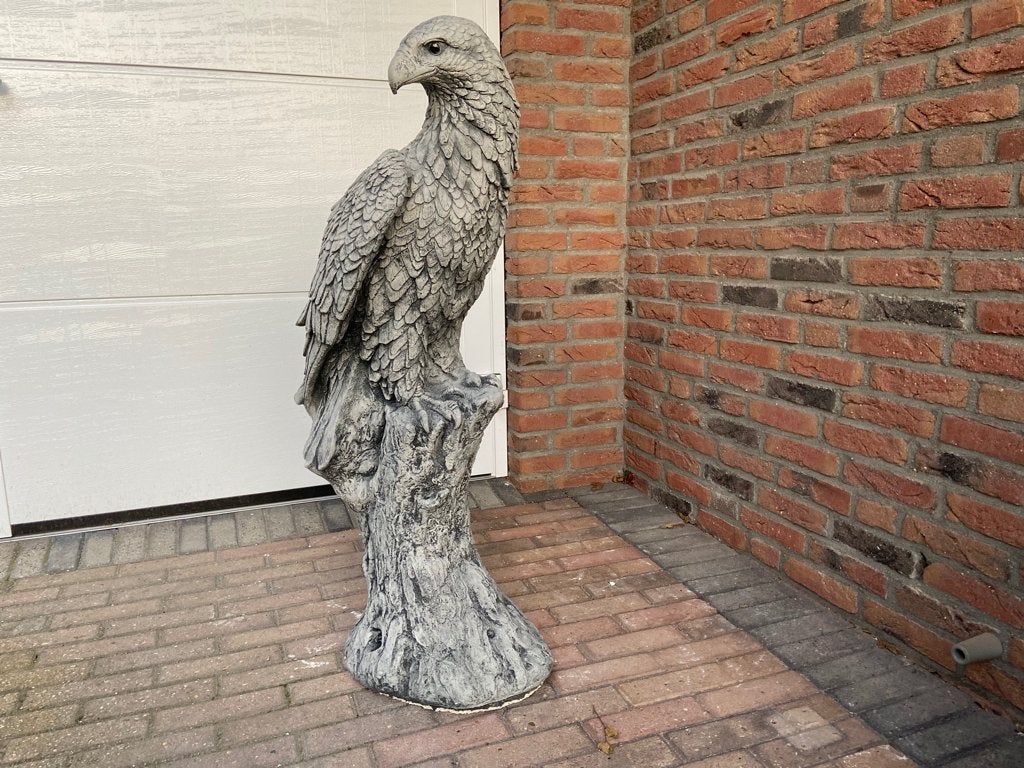 Adelaar XXL op Boomstam, Ophalen, Nieuw, Beton, Dierenbeeld