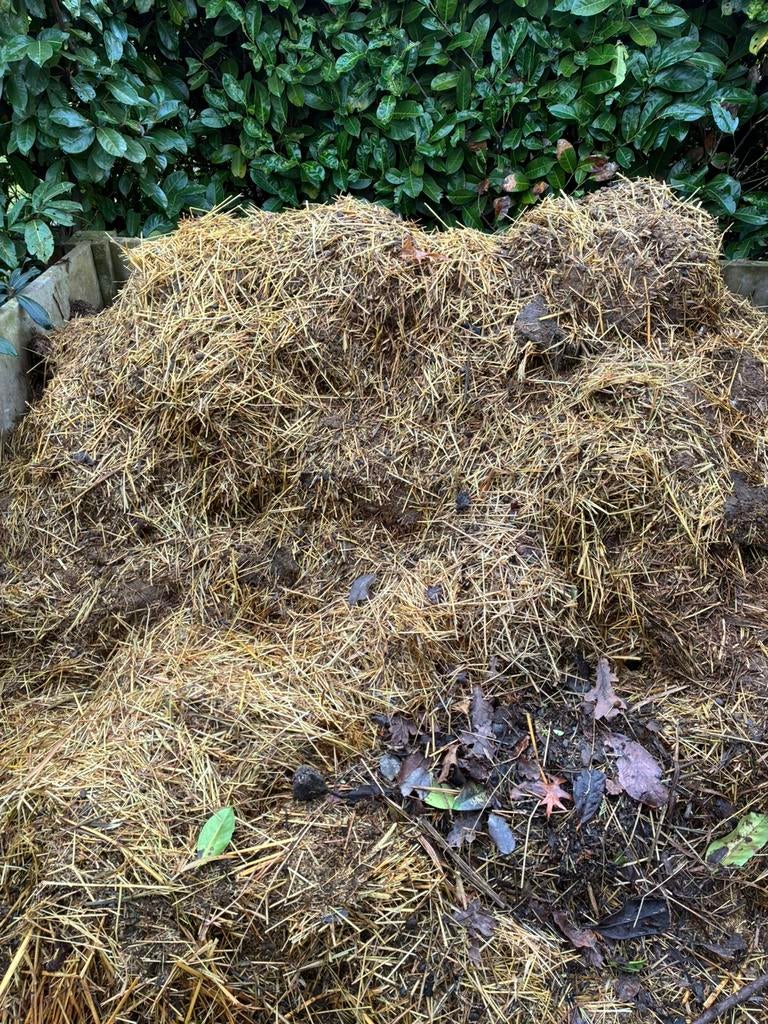 GRATIS Schapenmest gemengd met kippenmest, Ophalen, Mest