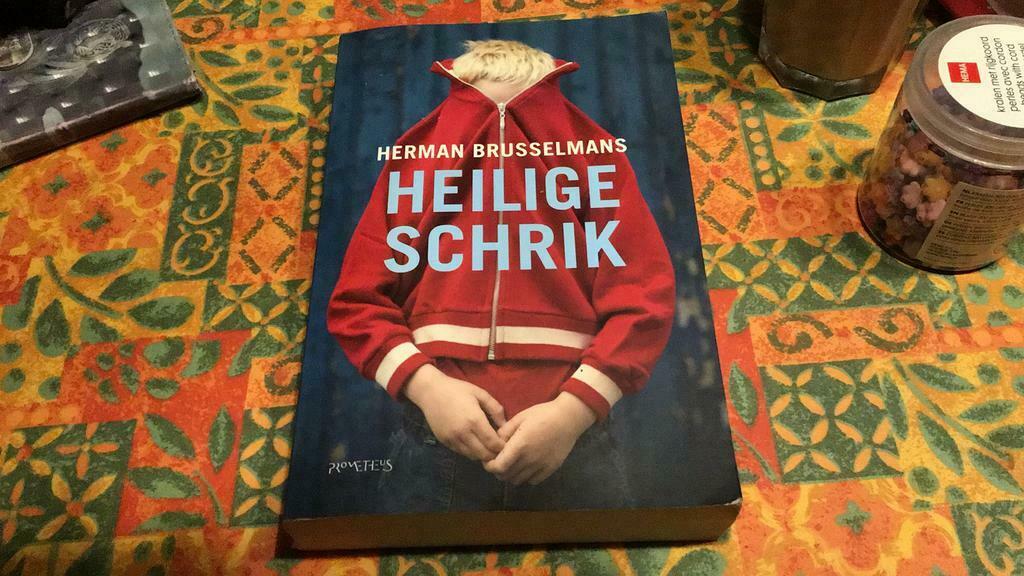 Heilige schrik (¥), Boeken, Ophalen of Verzenden, Herman Brusselmans