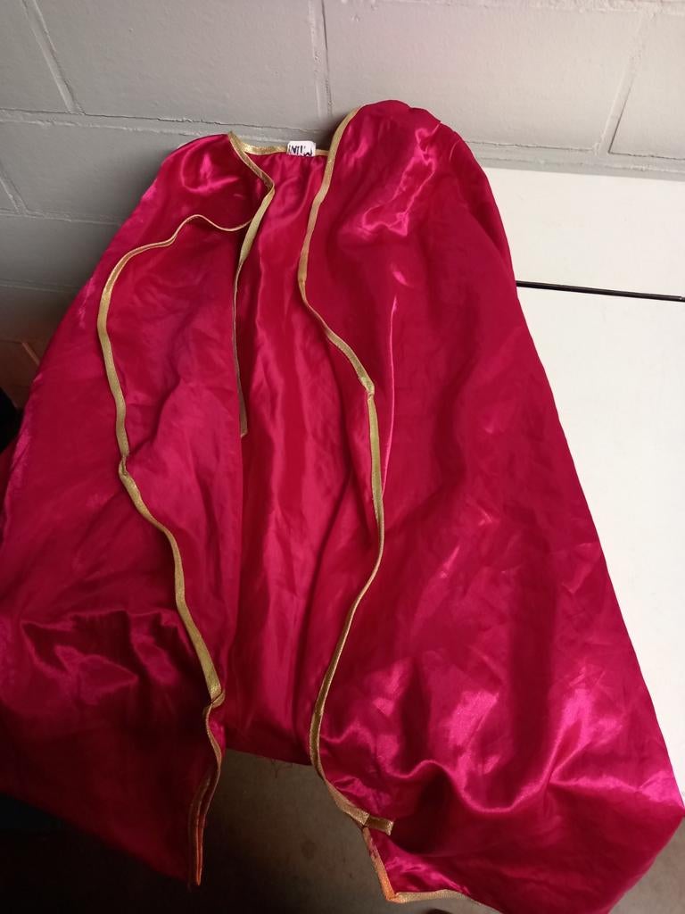 Verkleedkledij, Kleding | Dames, Ophalen of Verzenden, Gedragen, Kleding