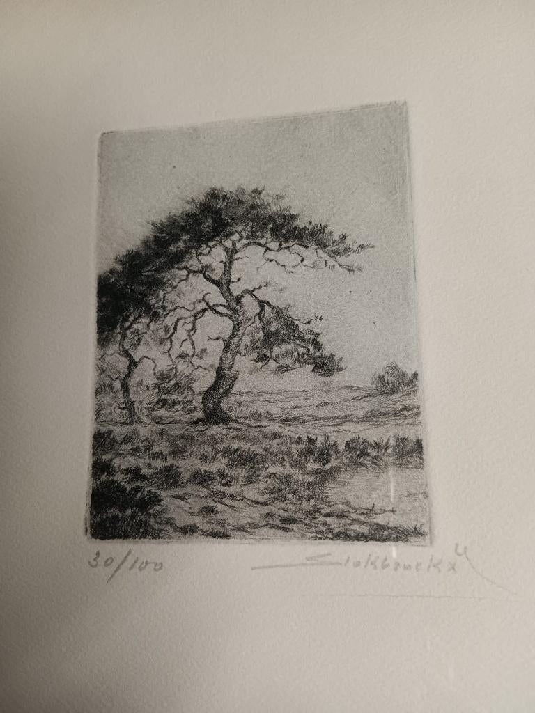 gesigneerde ets  heidelandschap. gesigneerd Jos Stokbroeckx, Antiek en Kunst, Kunst | Etsen en Gravures, Ophalen of Verzenden