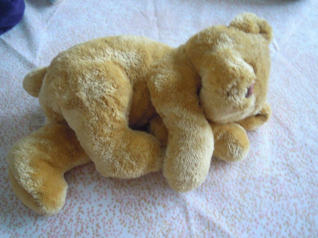 knuffel victor en co beer(doos18), Kinderen en Baby's, Speelgoed | Knuffels en Pluche, Ophalen of Verzenden, Nieuw, Beer