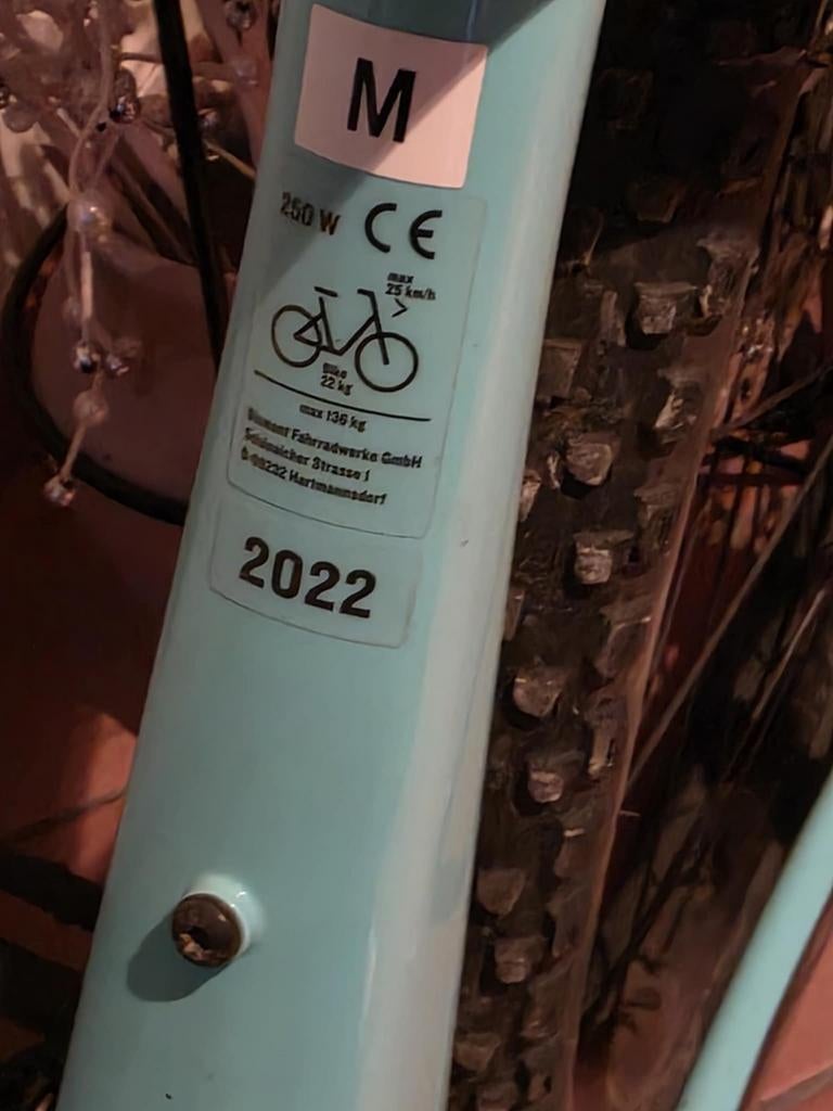 TREK Powerfly 5, Fietsen en Brommers, Fietsen | Oldtimers, Ophalen