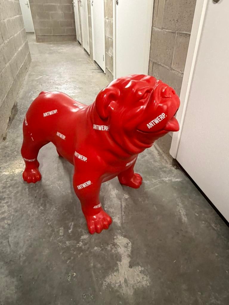 Bulldog Antwerp RAFC, Enlèvement, Comme neuf