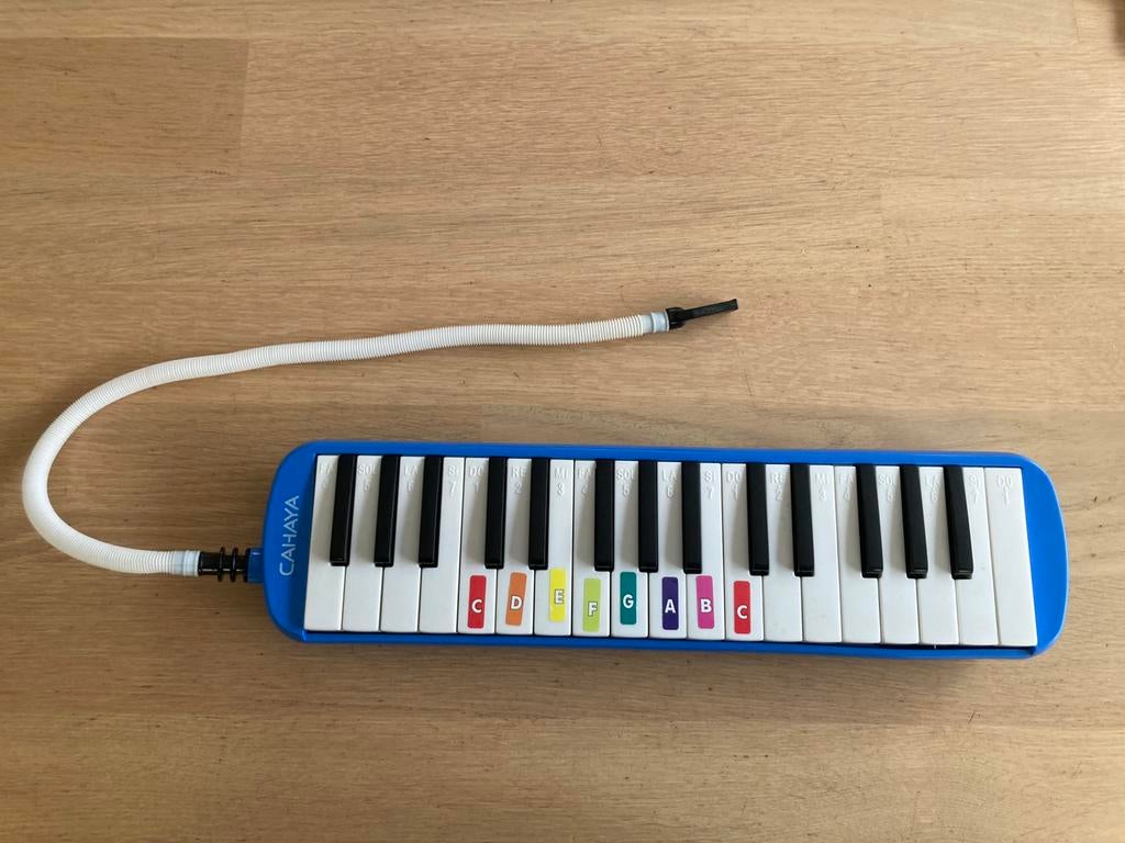 Melodica, Muziek en Instrumenten, Keyboards, Ophalen of Verzenden, Gebruikt