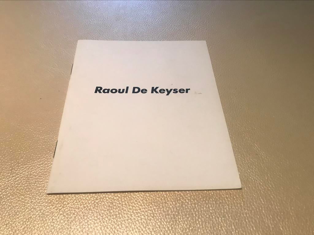 Raoul De Keyser kunstenaarsboekje 30pag, Ophalen of Verzenden, Zo goed als nieuw, Schilder- en Tekenkunst