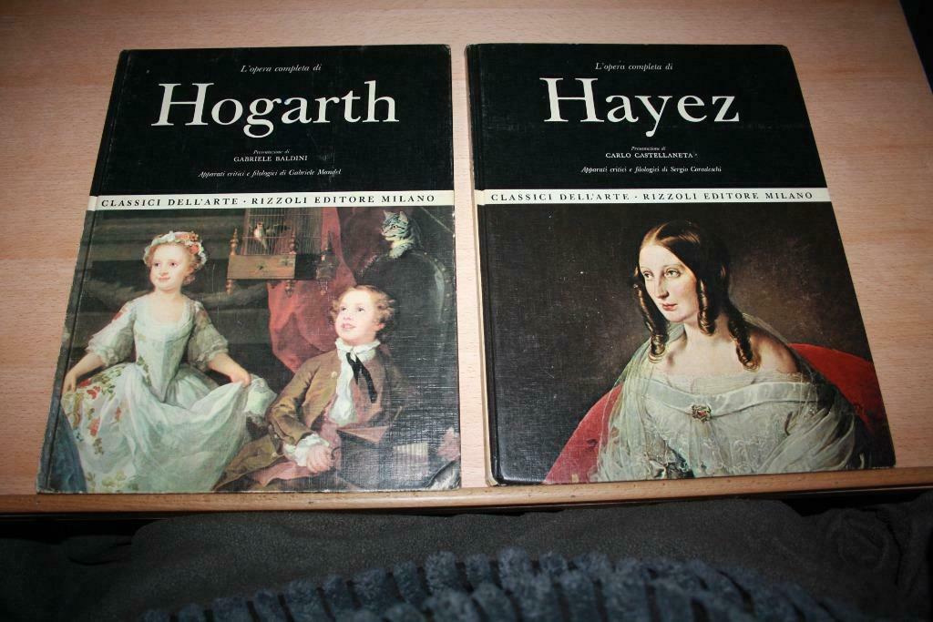 L’opera completa di Hayez – Carlo Castellaneta Apparati crit, Gelezen, Carlo Castellaneta, Ophalen of Verzenden, Schilder- en Tekenkunst