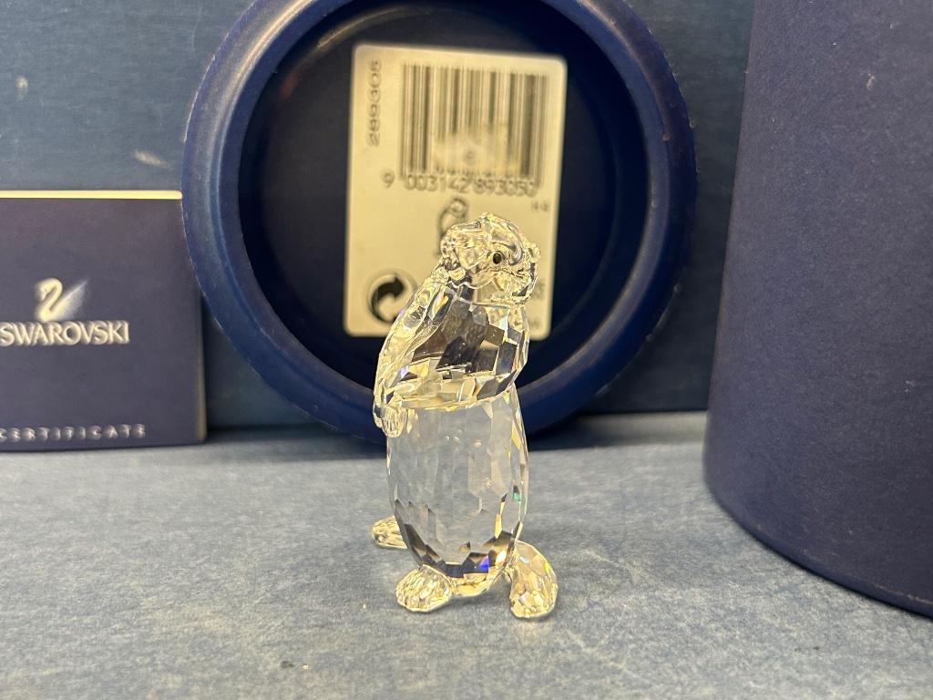 Swarovski Marmot, Verzamelen, Swarovski, Nieuw, Figuurtje, Ophalen of Verzenden