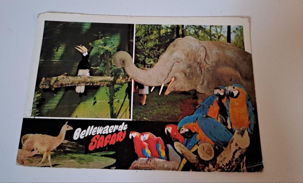 Bellewaerde postkaart, Enlèvement