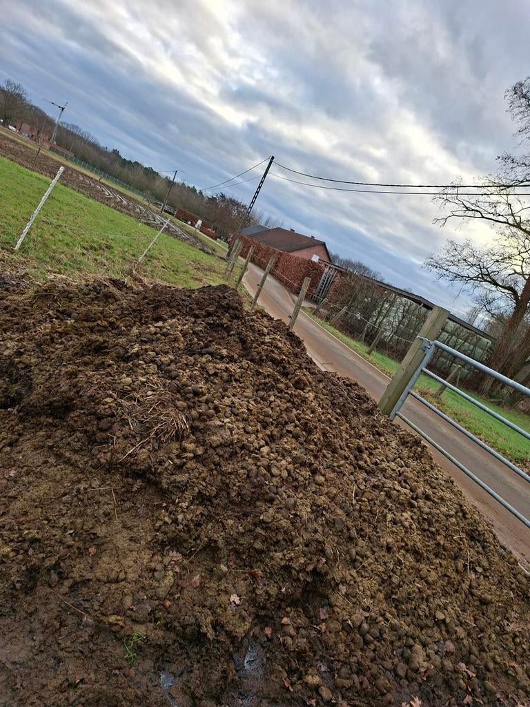 Gratis zuiver paardenmest Ramsel/Herselt