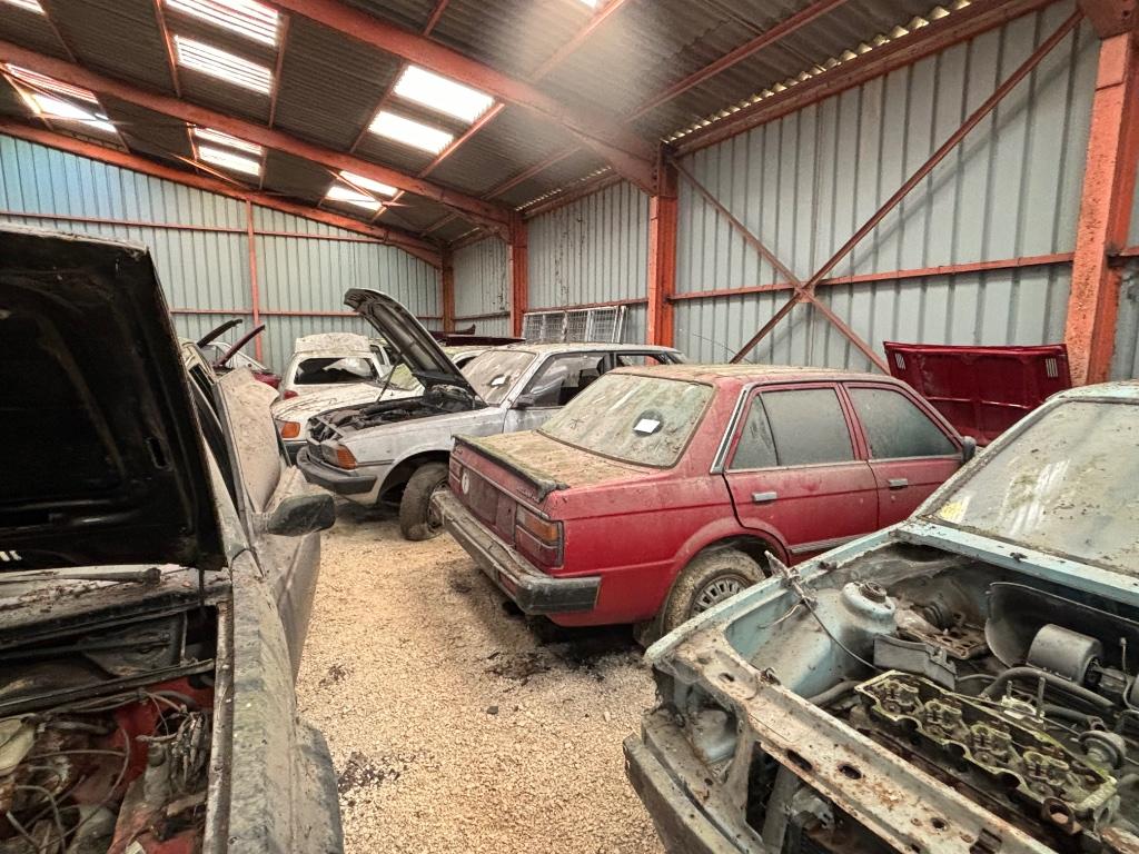 Triumph Acclaim HLS, Ophalen, Triumph