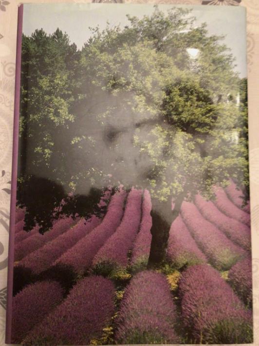 Provence et Camargue - Livre Artis Historia, Boeken, Streekboeken en Streekromans, Zo goed als nieuw, Ophalen of Verzenden