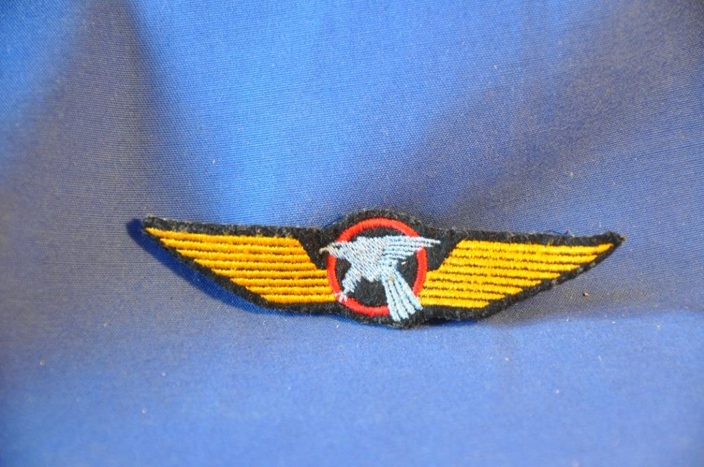 §  aile brevet planeur cadets de l'air, Enlèvement ou Envoi, Autres, Emblème ou Badge