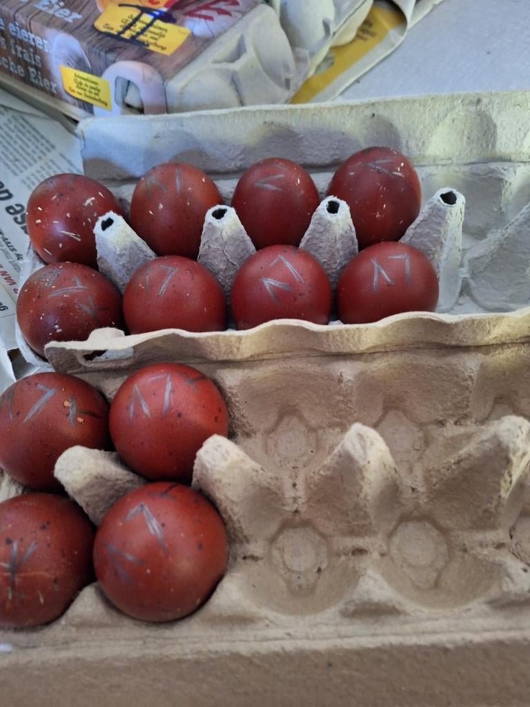 Broedeieren marans zwart koperhals