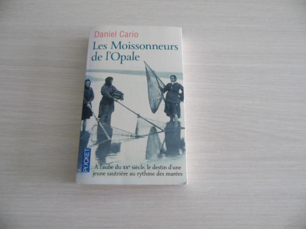 LES MOISSONNEURS DE L'OPALE        DANIEL  CARIO, Livres, Romans, Comme neuf, Europe autre, Enlèvement ou Envoi