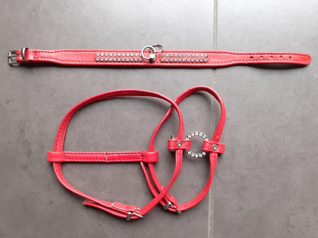 TUIGJE met strass steentjes, hondentuigje rood, Dieren en Toebehoren, Ophalen of Verzenden, Zo goed als nieuw
