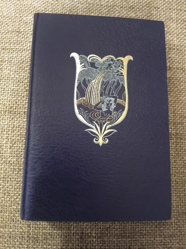 Celeste de Blasis - Vaya con Dios!, Boeken, Ophalen of Verzenden, Zo goed als nieuw, Celeste de Blasis