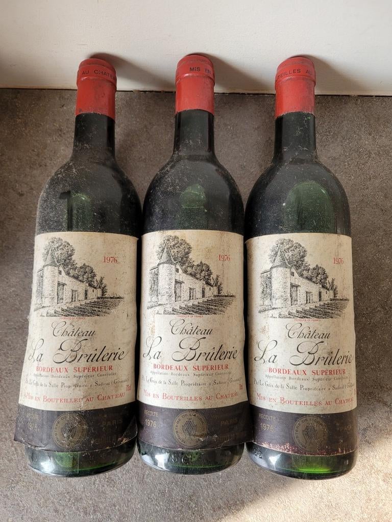 3 flessen rode wijn  Bordeaux supérieur 1976, Verzamelen, Ophalen, Zo goed als nieuw, Rode wijn